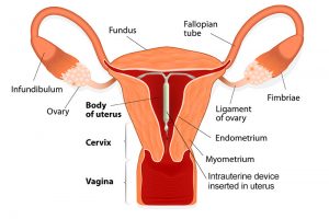 男女必须懂的避孕知识