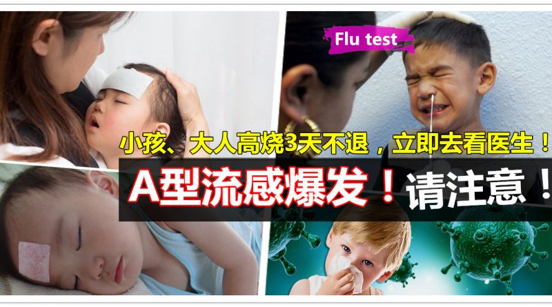 A型流感 Influenza A