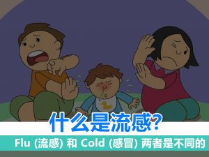 什么是流感