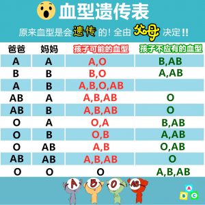父母的血型会遗传给孩子